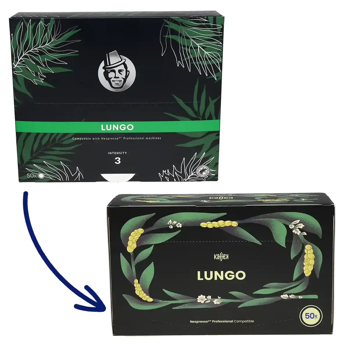 Lungo